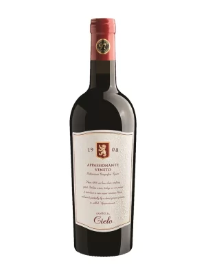 1908 Appassionante Rosso Veneto IGT
